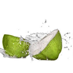hipki sarisegarhusada coconutwater 250x250